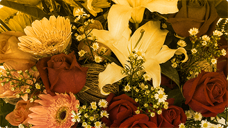 Survival Bias: Why Everything You Know About Success is Probably Wrong